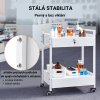 Laboratorní vozík z nerezové oceli, dvoupatrový se dvěma zásuvkami a otočnými kolečky