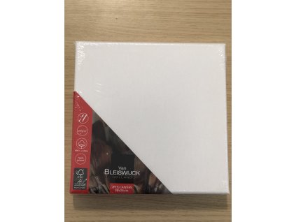 Malířské plátno na rámu 2ks 20x20cm