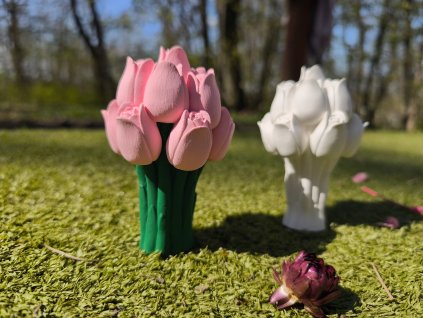 3D omalovánka - Tulipány, kytice - nemalované