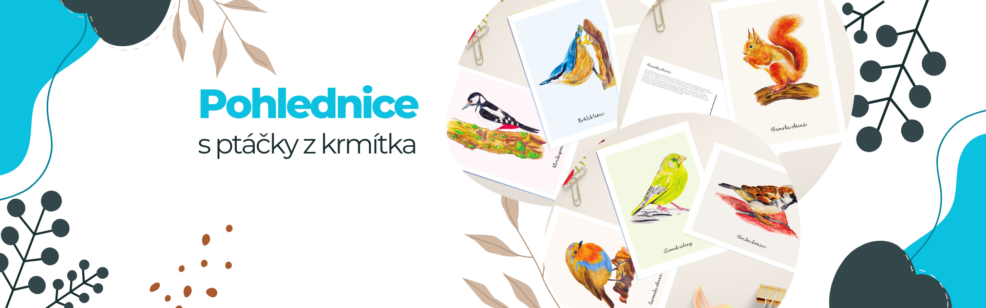 Pohlednice z krmítka