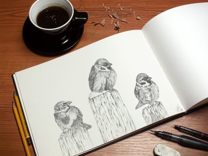 79 obraz my tri vrabcaci