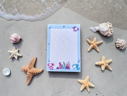 transparent Photoroom (1)