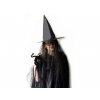 Karnevalový kostým čaroděj, čarodějnice