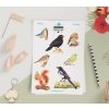 Samolepky ptaci21