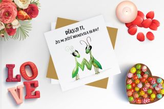 Přáníčka z lásky Jednoho dne určitě nakreslím přáníčko se srdíčkem a klasickou valentýnkou z lásky, na kterou většina...