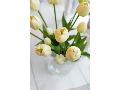 Tulipány - bílé