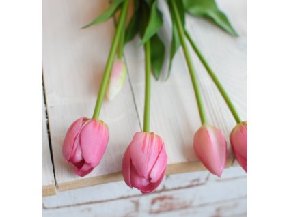 Tulipány - růžové