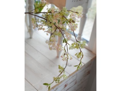 Jarní větev - narůžovělá