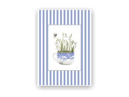 obrazek web snezenky pasparta