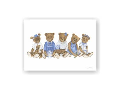 obrazek web medvedi holky modre