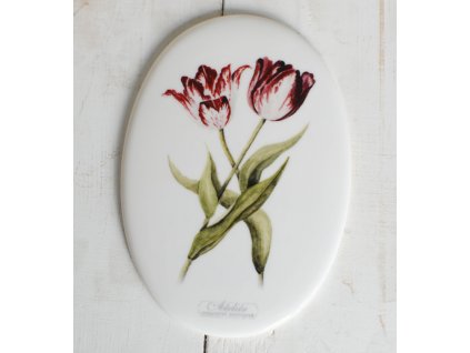 oval tulipany