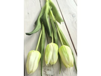 Tulipány - bílo-zelené 3ks