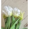 Tulipány - bílé papouškovité