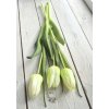 Tulipány - bílo-zelené 3ks