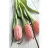 Tulipány - světle růžové 3ks