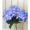 Modrá hortenzie - dlouhá