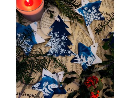 Kyanotypie nejen vánoční  - skupina 6 osob - termín dle domluvy