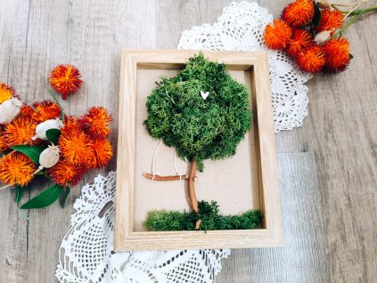 Kurz mechový obraz- 1-2-26