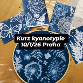 🗓️10/1/26, 9:30-12:30 📧 kurzysivou@gmail.com 📌Davona, Jana Zajíce 22, PRAHA 7 💰1600,- Kč ☕Káva, čaj a voda v ceně