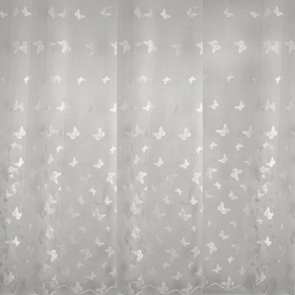 obrázek 2023 02 26 092452966