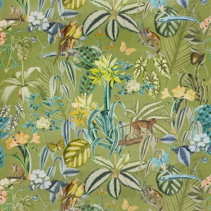 3939 627 BARBADOS PALM