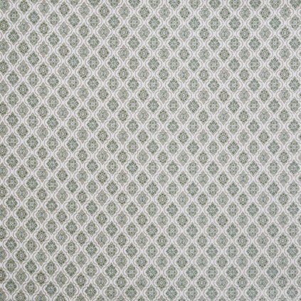 4008 613 SALINA LICHEN