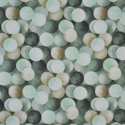 8755 613 PENDULUM LICHEN