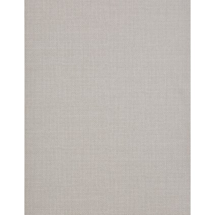 1676 909 ETCH SILVER