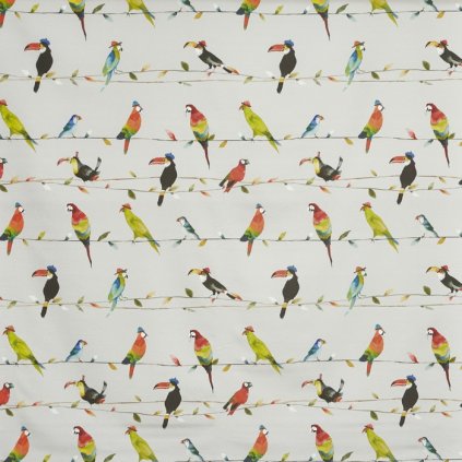 assets collections 8634 toucan talk 8634 522 toucan talk tropical