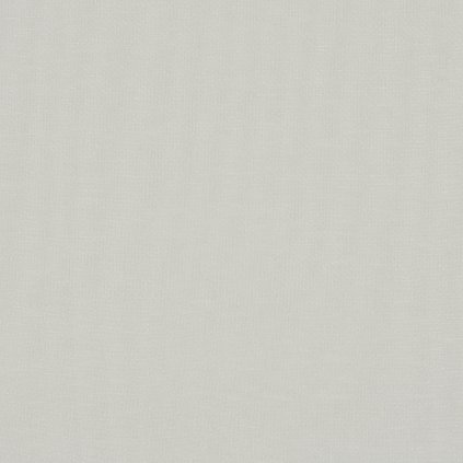 7867 670 REED PAMPAS