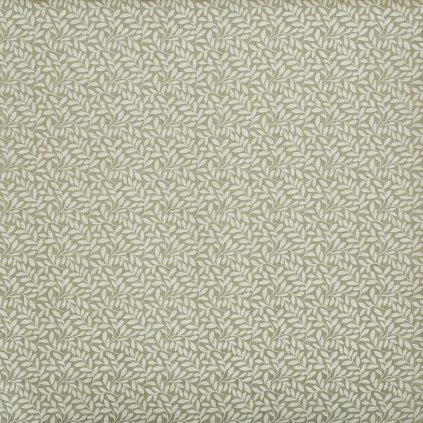 3989 687 SAPLING BASIL