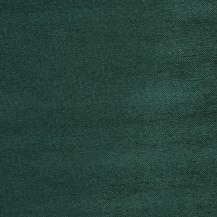 3985 641 LEON DRAGONFLY