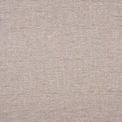 3789 497 ELOUISE CROCUS