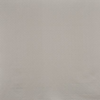 3829 909 CHARLESTON SILVER