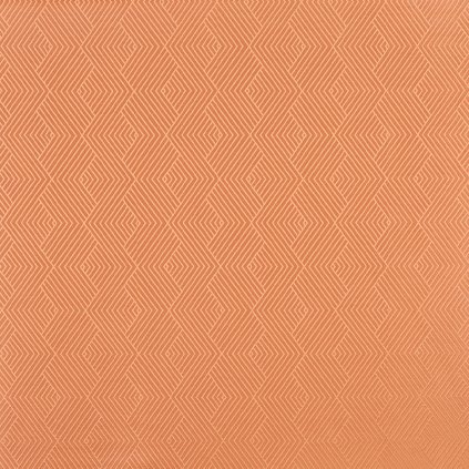 3797 455 KYRA NECTARINE