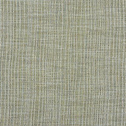 3883 601 DOLORES GOOSEBERRY