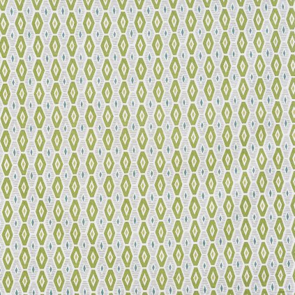 5058 397 KARAZ CACTUS