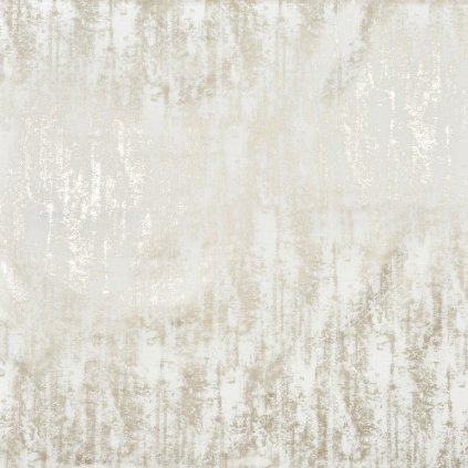 3664 565 CAESAR COIN