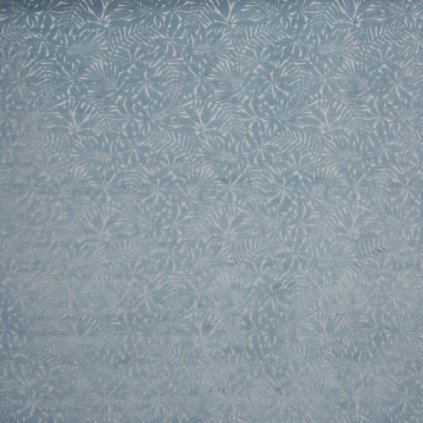 assets collections 4019 perennial 4019 768 perennial bluebell