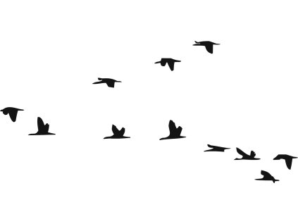 Letící ptáci - plastová šablona 267