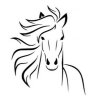Hlava koně - plastová šablona 003