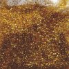 Glitr zlatý 0,2mm A0205