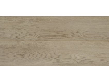 Baltimore Oak 77 (50 LVRE 1277)