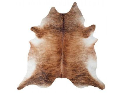 Exotisches Rindfleisch