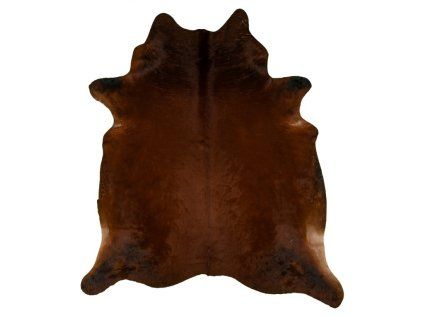 Braunes Rindfleisch 2-3 m2