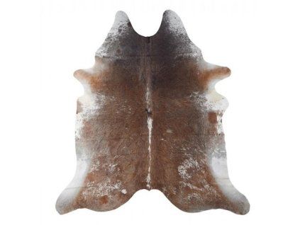 Rindfleisch MONTAFONER 3-4 m2