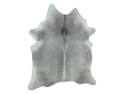 Graues Rindfleisch 3 - 4 M2