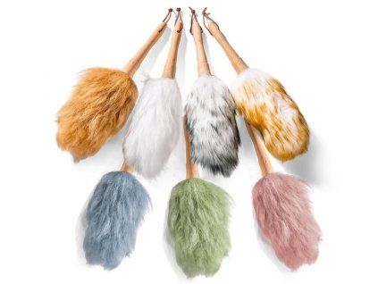 MINI Duster