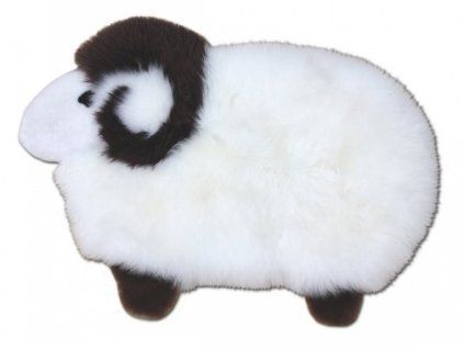 Präposition Schaf