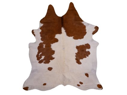 Hovädzina škvrnitá SORTIERT